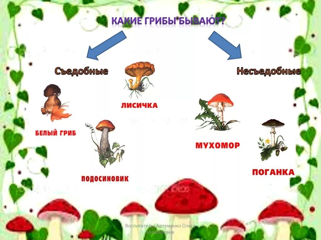 Назови 3 гриба. Схема съедобные и несъедобные грибы. Съедобные и несъедобные грибы для дошкольников. Рисунок съедобные и несъедобные грибы. Съедобные грибы для дошкольников.