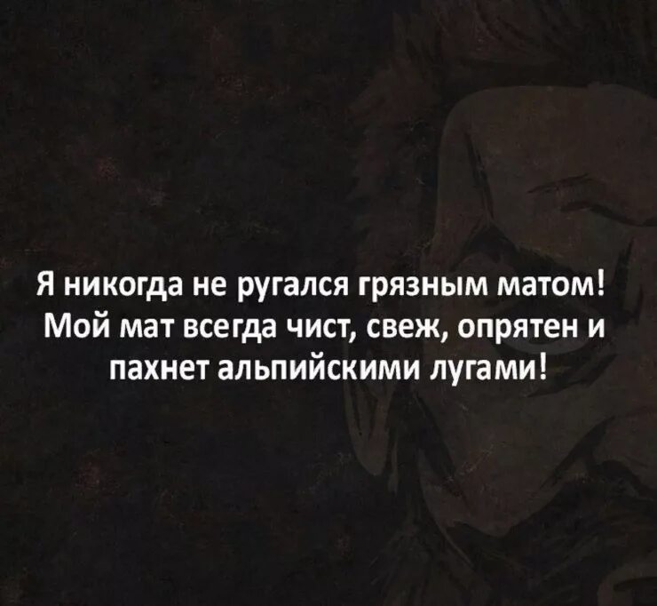 Прикольные шутки с матом. Веселые цитаты с матом. Матерные цитаты. Смешные высказывания с матом. Матершинные афоризмы.
