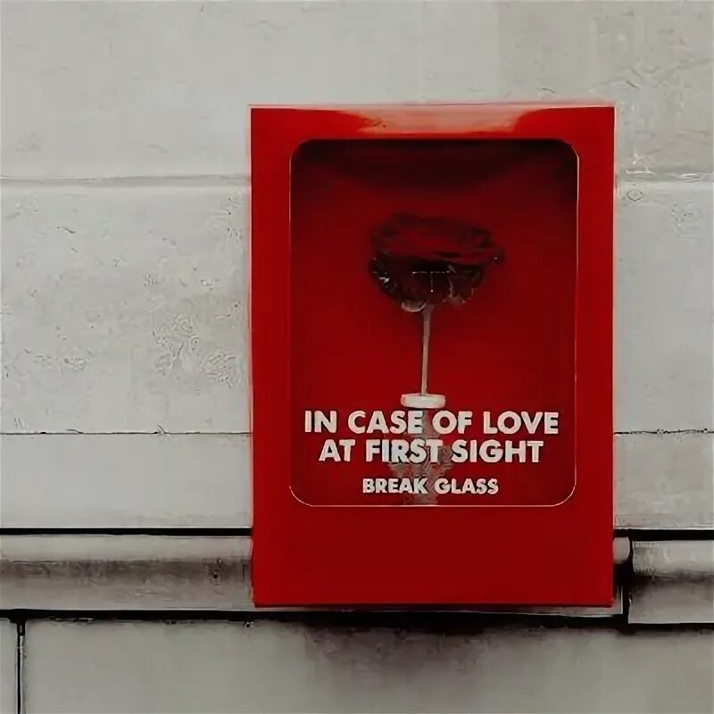 In case you will