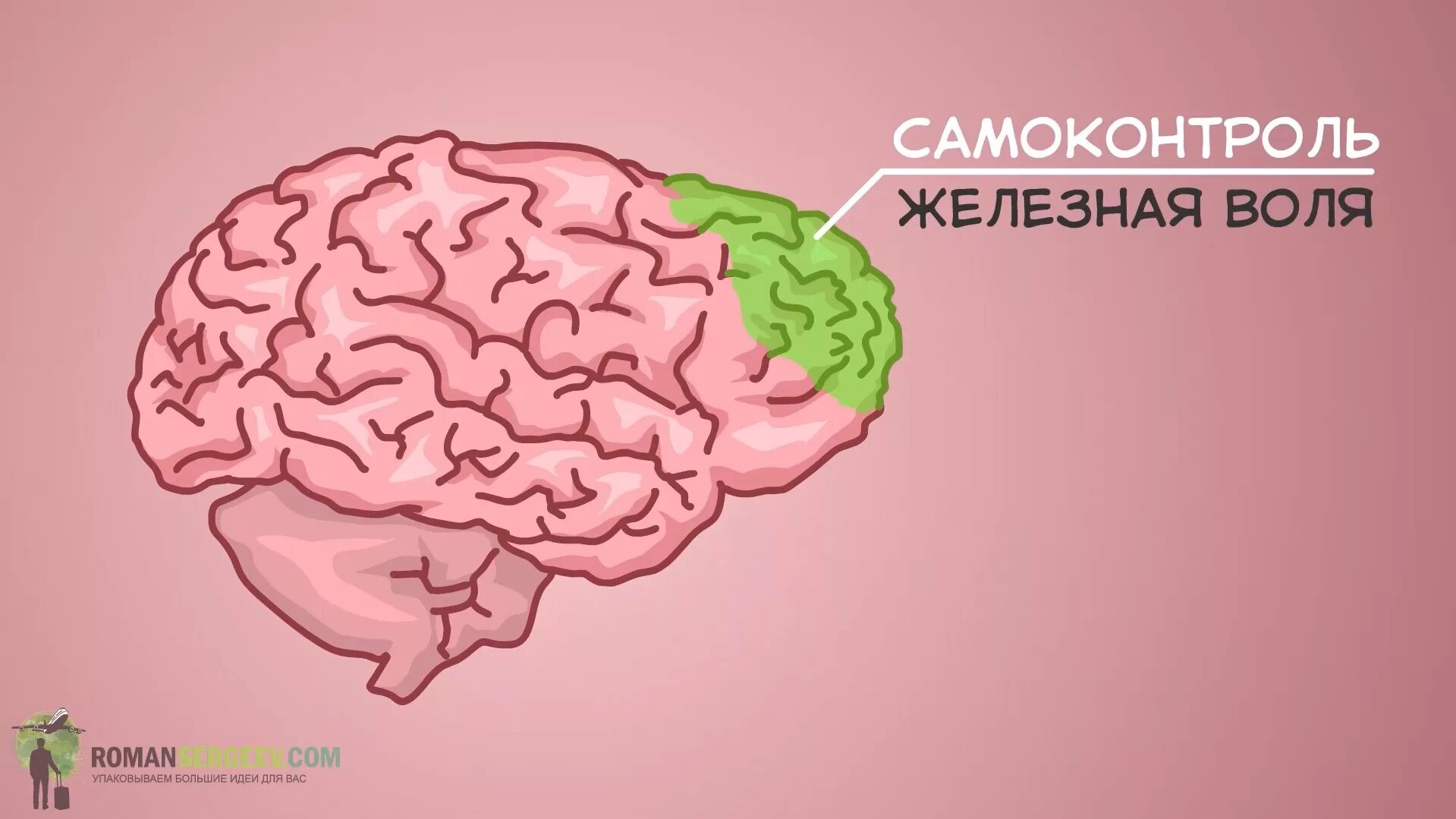 Воля про мозг. Сила воли картинки. Сила воли картинки для презентации. Рисунок на тему сила воли. Самоконтроль мозг.