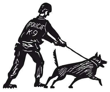 A s k 9