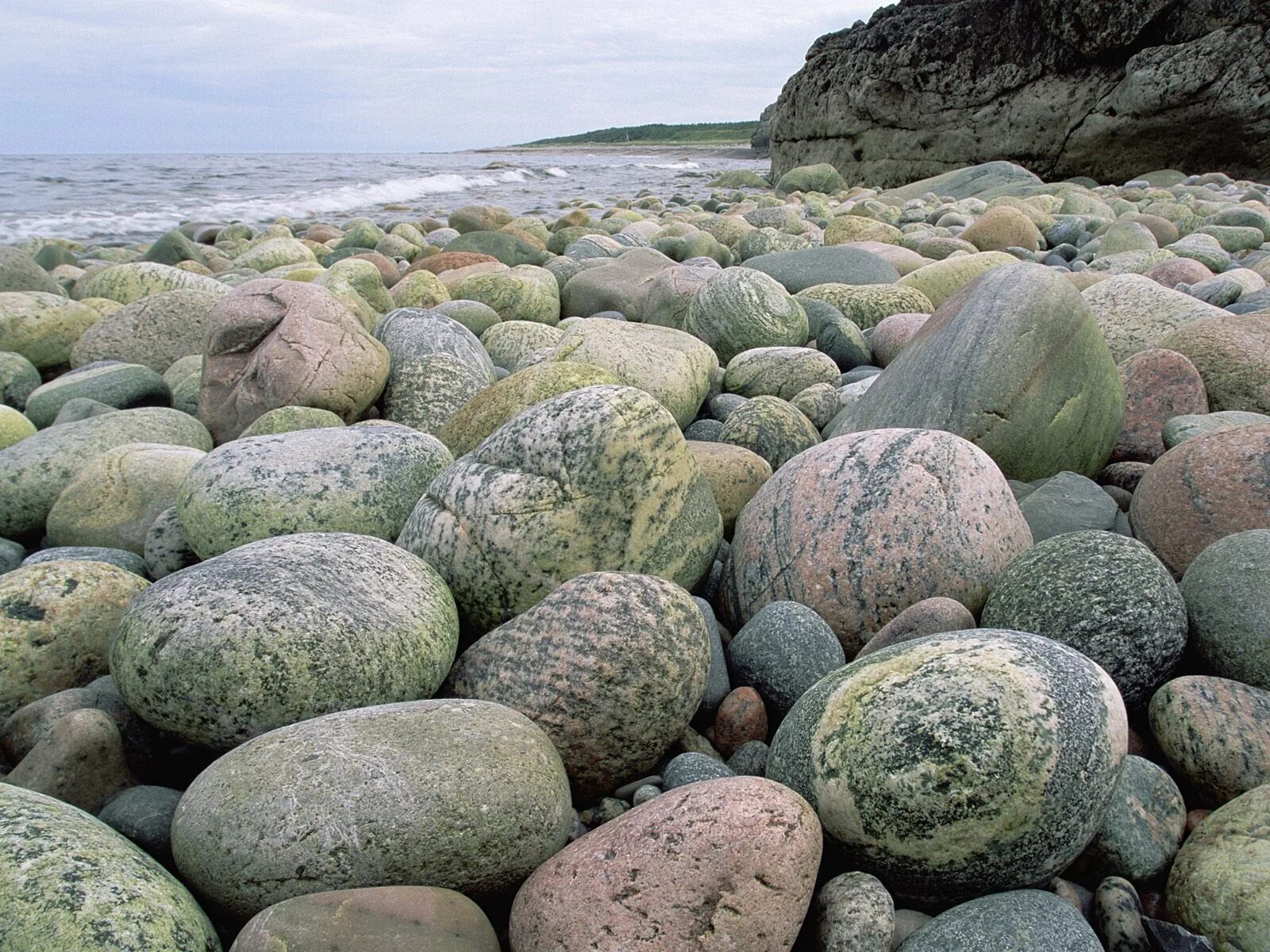 Округлый камень. Камни в природе. Белые камни на берегу моря. Круглый камень. Круглые камни на берегу.
