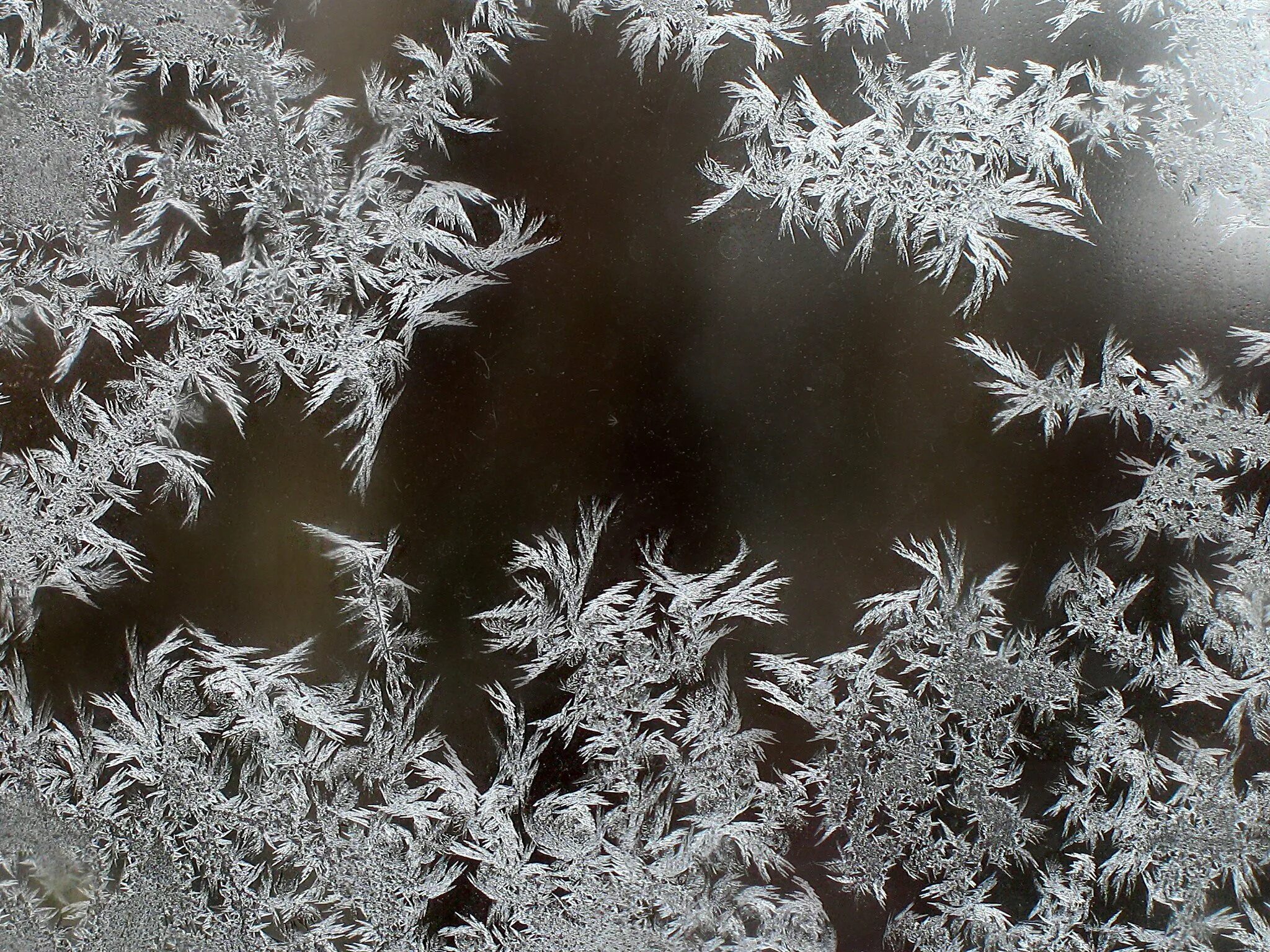 Эффект заморозки. Морозные узоры. Морозные узоры на окне. Зимние узоры на стекле. Морозные узоры на стекле.