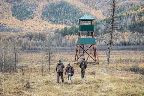 Вышка караула