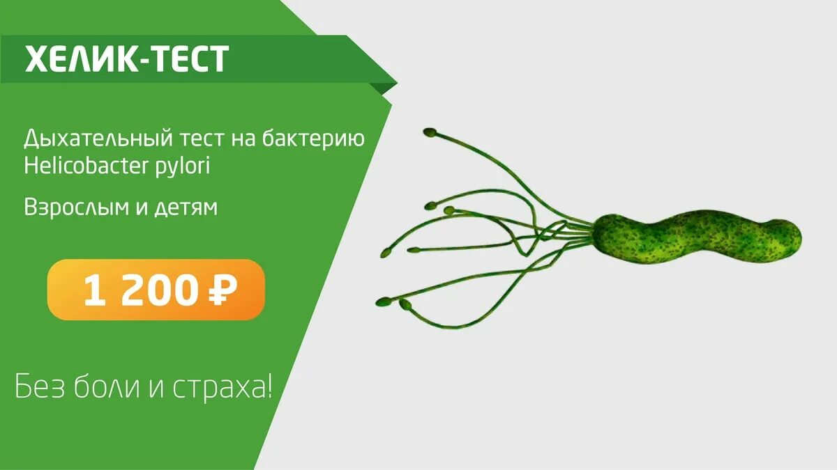 Дыхательный тест на хеликобактер пилори москва. 13с-уреазный дыхательный тест на хеликобактер пилори. Тест на хилак бактер пилори дыхательный. Дыхательный тест. Уреазный дыхательный тест.