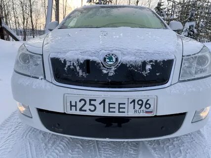 Зимняя защита