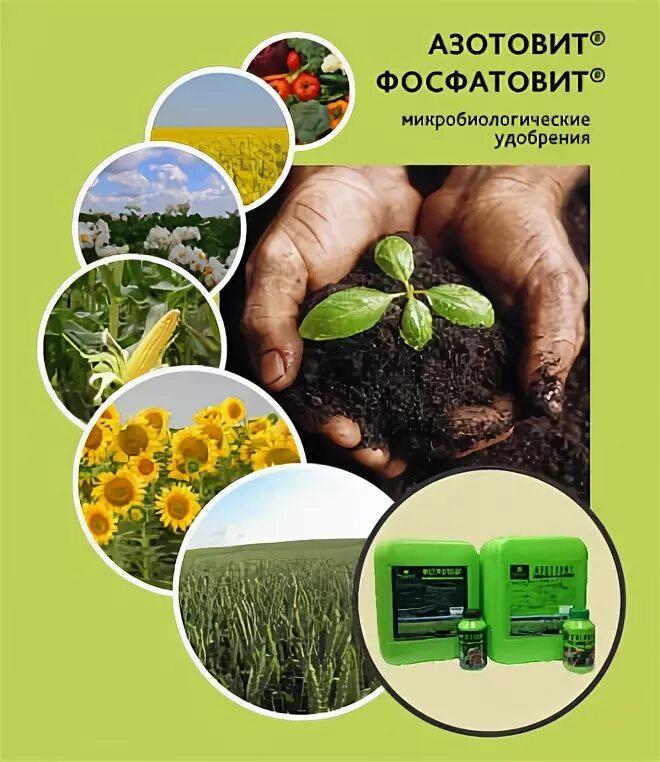 Использование бактериальных удобрений