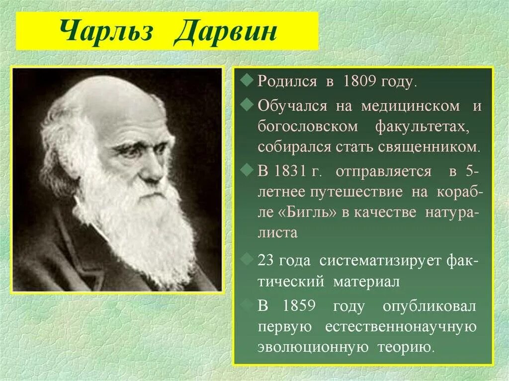 Значение теории дарвина. Теория Чарльза Дарвина. Дарвин вклад в биологию. Эволюционное учение Чарльза Дарвина.