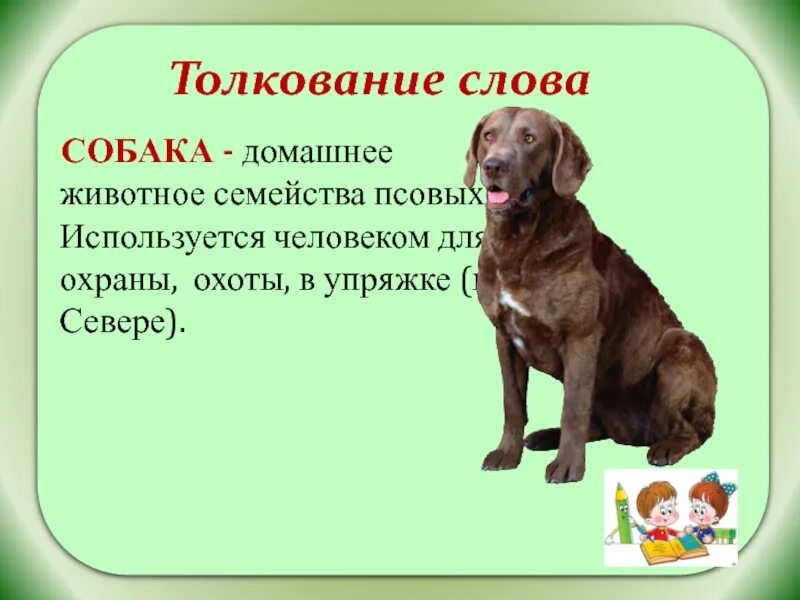 Что означает слово собака. Значение слова собака. Текст про собаку. Лексическое слово собака. Проект про собак.