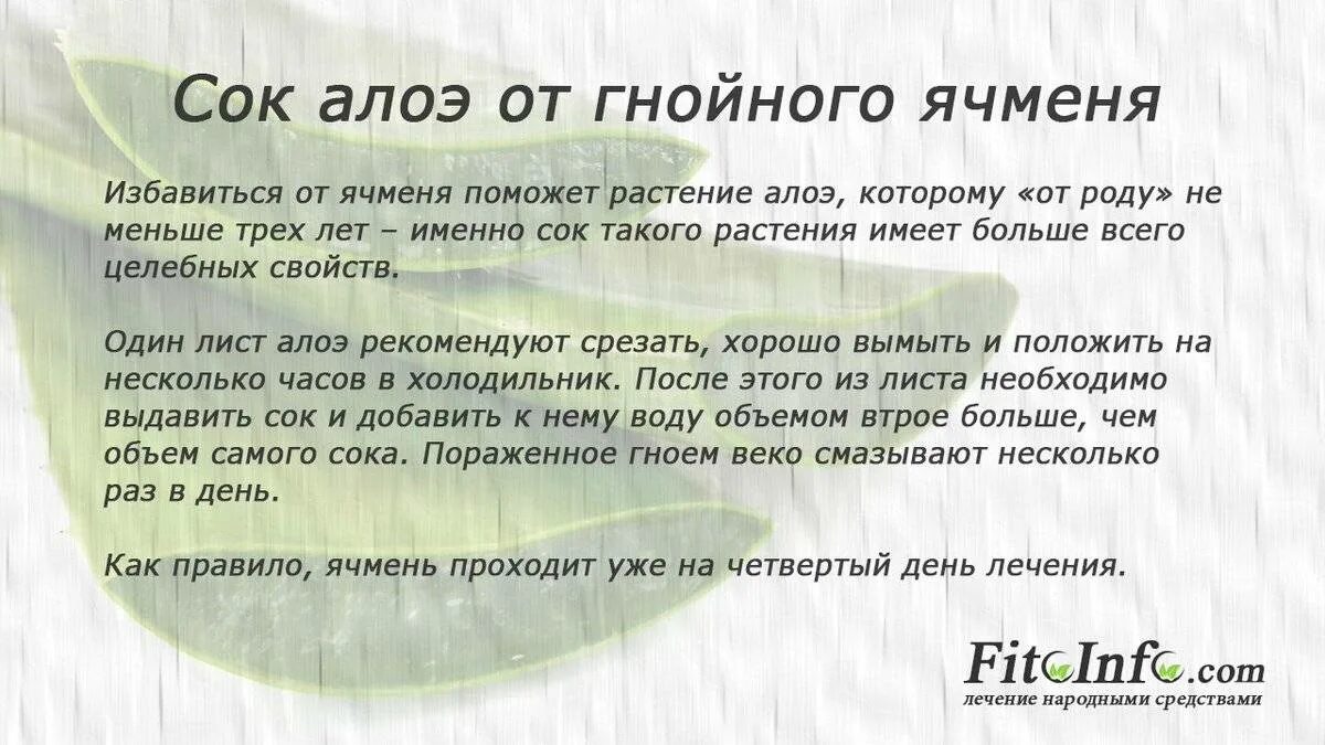 Можно ли лечить ячмень. Как быстро вылечить ячмень. Народные средства от ячменя. Как быстро избавиться от ячменя на глазу.