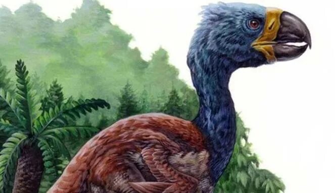 На рисунке изображен реконструкция фороракоса крупной нелетающей