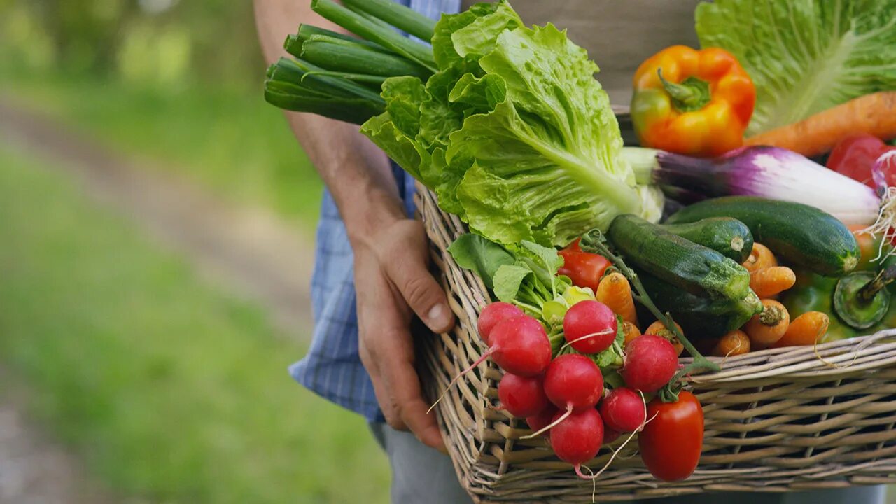 Farmer vegetables
