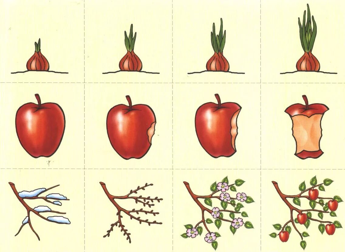 дидактический материал 2 класс русский язык. игра логические цепочки д-221. дидактический материал русский язык 4 класс. дидактический материал упражнения. дидактический материал упражнения.