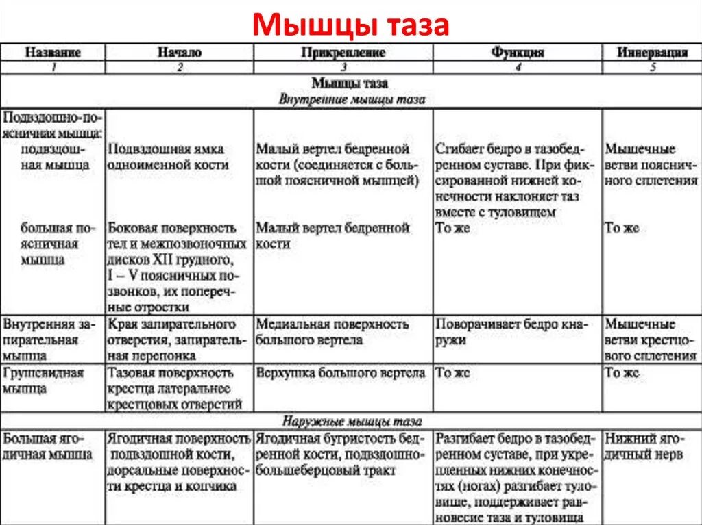 Функции нижних конечностей. Мышцы таза и нижних конечностей таблица. Мышцы нижних конечностей анатомия таблица функции. Мышцы пояса нижней конечности таблица. Мышцы нижней конечности тазового пояса таблица.