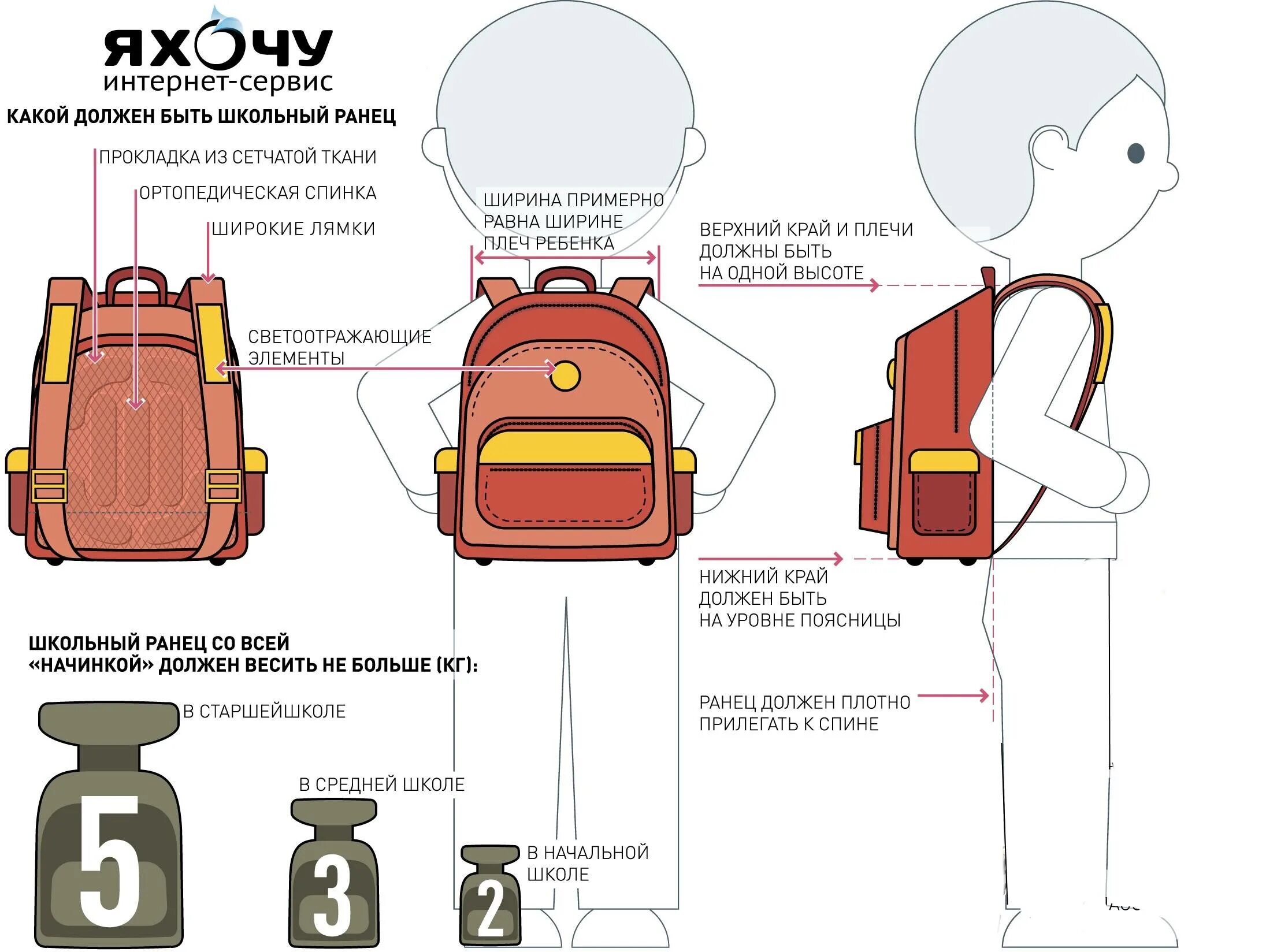 Какой должен быть портфель. Инфографика рюкзак. Правильный портфель для первоклассника. Правильный рюкзак для школьника. Школьный рюкзак инфографика.