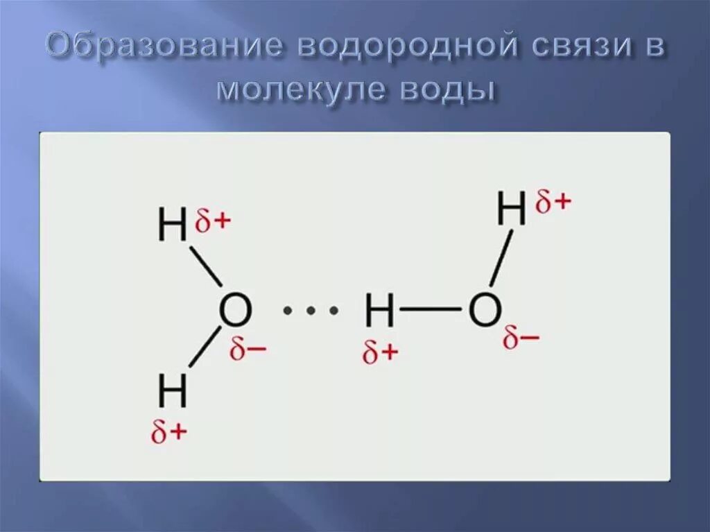 Механизмы водородной связи. Схема образования водородной связи между молекулами воды. Водородная связь между молекулами воды схема. Механизм образования водородной химической связи. Схема образования водородной химической связи.