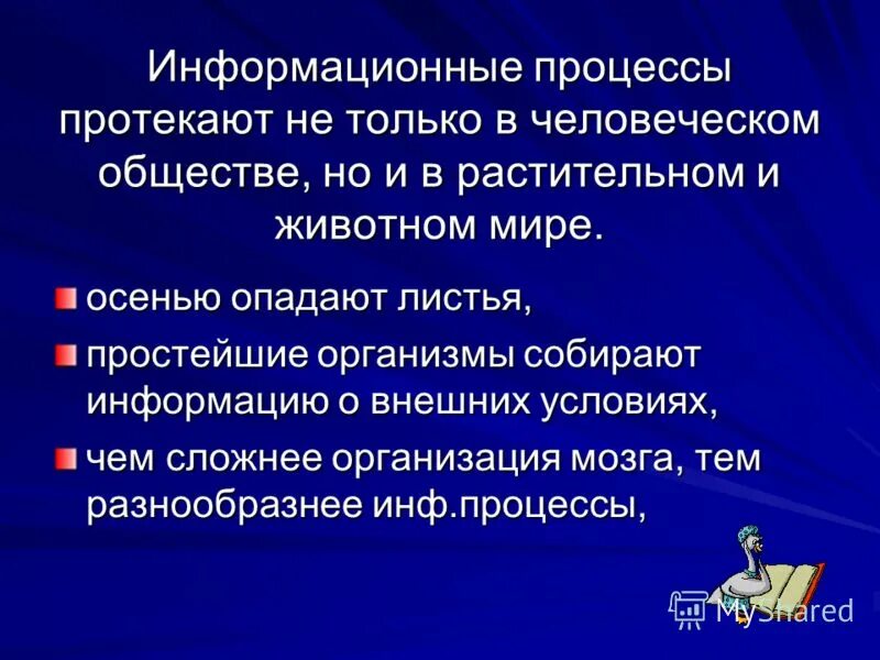 Схема процессы протекающие в информационной системе. Перечислите процессы в информационных системах. Процессы в информационной системе. Место информатики в системе наук схема. Рис.