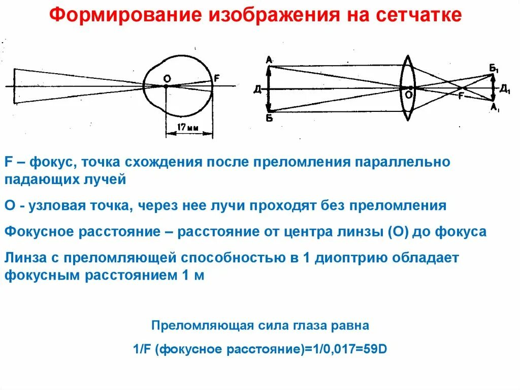 Формирование изображения на сетчатке. Построение изображения на сетчатке. Механизм построения изображения на сетчатке. Построение изображения на сетчатке глаза.