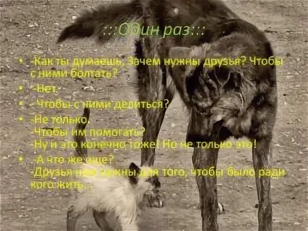 Почему люди не нужны