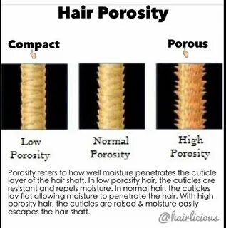 Low Porosity Hair Care, Low Porosity Hair Products, Hair Care Regimen, Hair...