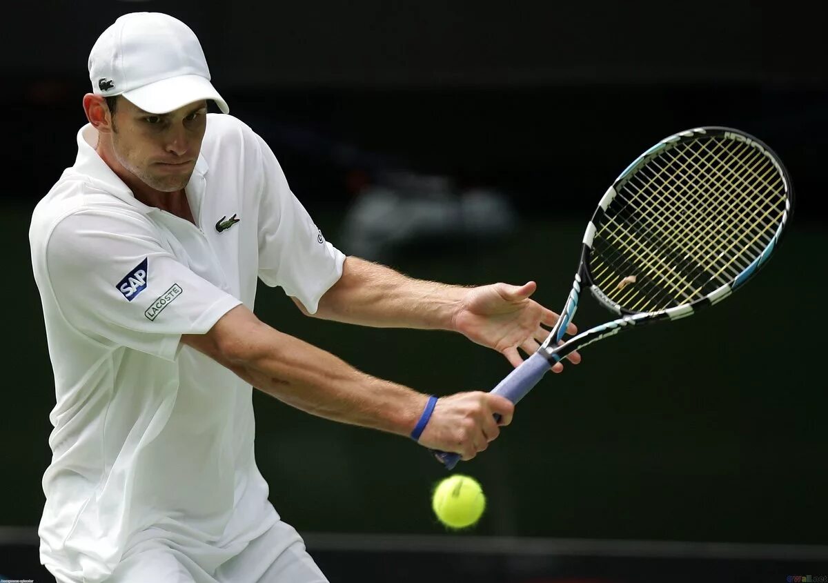 Роджер федерер теннис. Роджер федерер теннисист. Lawn tennis rafael nadal. Теннис большие головы. Роджер федерер.