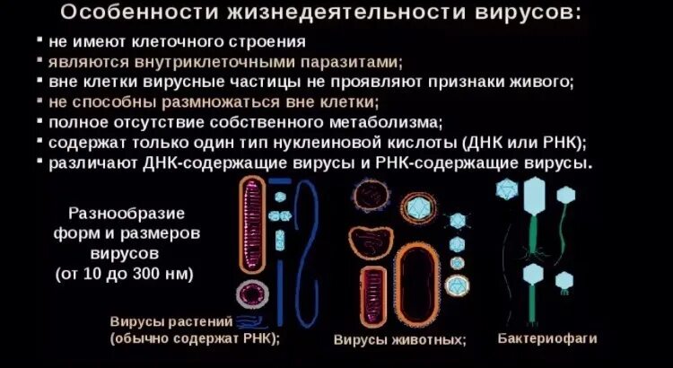 Общие признаки вирусов биология 5 класс. Особенности строения и жизнедеятельности вирусов. Процессы жизнедеятельности вирусов кратко. Какие процессы жизнедеятельности характерны для вируса. Вирусы особенности их строения и жизнедеятельности.