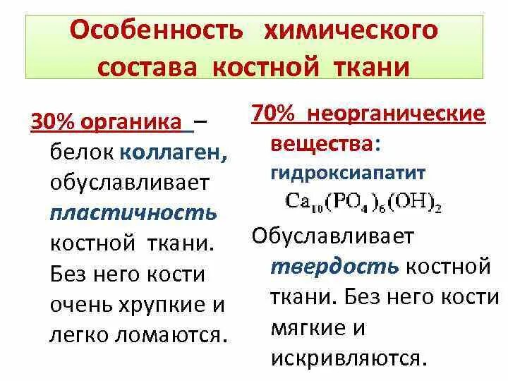 Состав костной ткани элементы. Особенности метаболизма костной ткани. состав и функции костной ткани биохимия. химический состав костной ткани. особенности химического состава костной ткани.