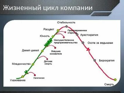 Модель цикла организации