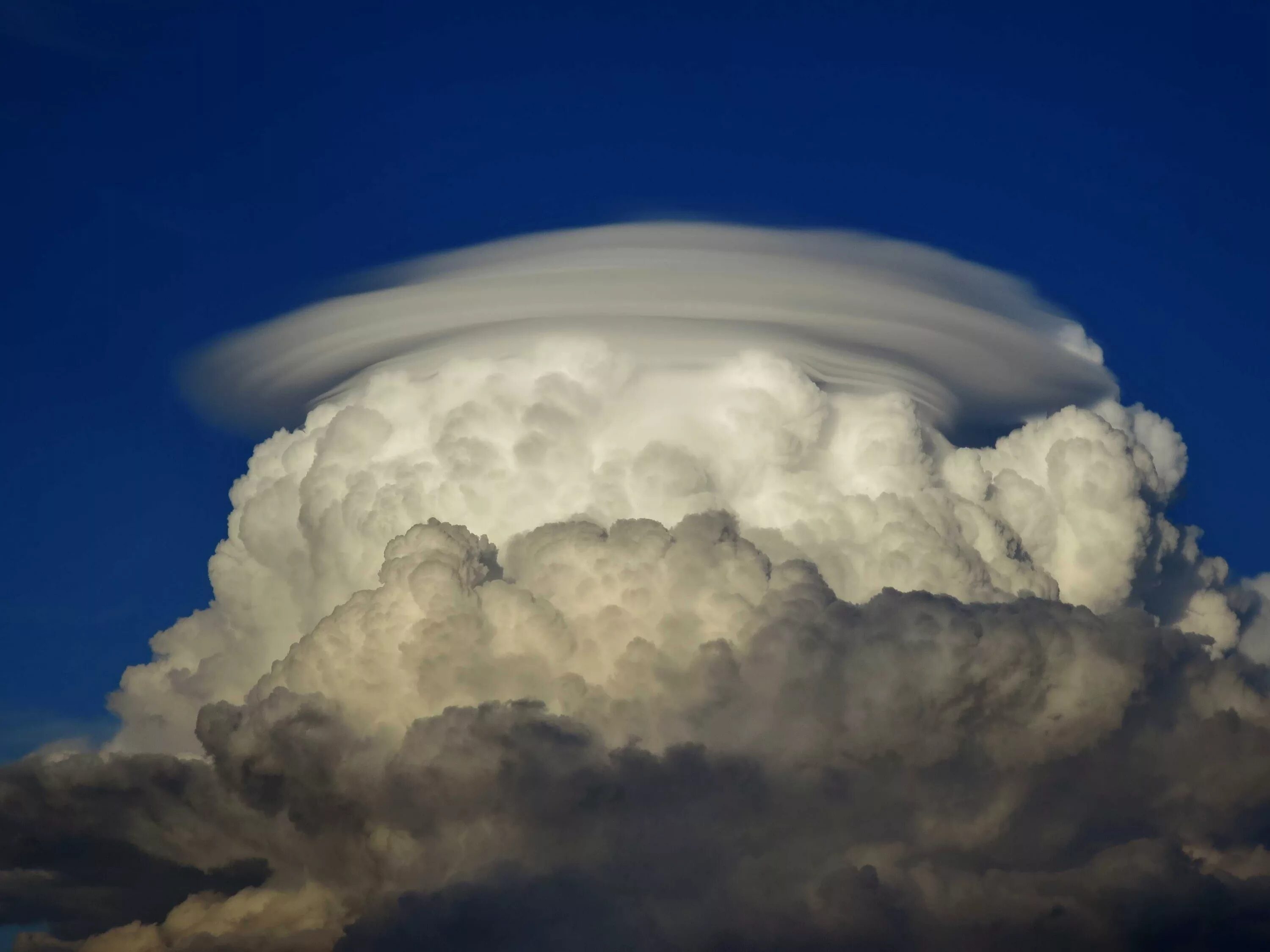 Как выглядит облако. Cumulonimbus Mammatus. Кучево-дождевые (cumulonimbus). Кучевые дождевые облака cumulonimbus. Кумулонимбус конгестус.