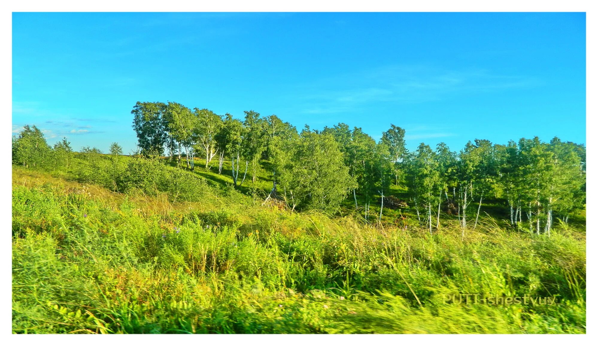 ингальская долина. ингальская долина устье реки. археологический комплекс ингальская долина. ингальская долина в тюменской области на карте. ингальская долина в тюменской области.