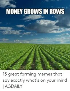 MONEY GROWS IN ROWS 15 Great Farming Memes That Say Exactly 
