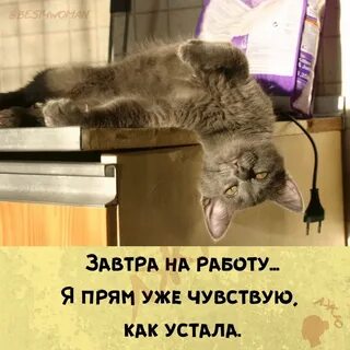 Ну устал