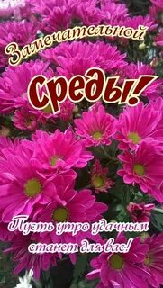 Замечательной среды доброе