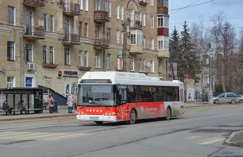 64 автобус пермь