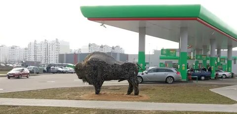 Зубр минск