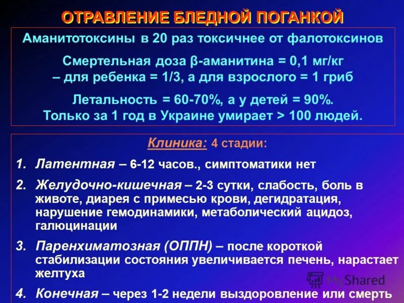 При отравлении бледной поганкой. Отравление бледной поганкой. Стадии отравления бледной поганкой. Противоядие от бледной поганки