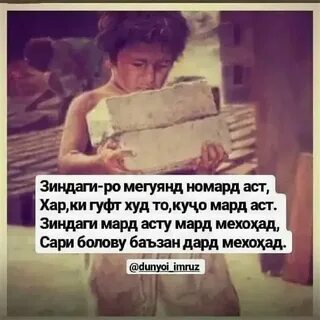 Песня мард