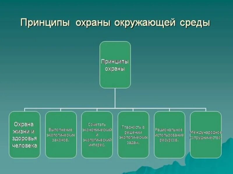 Роль охраны окружающей среды. Принципы охраны окружающей среды. Принципы защиты окружающей среды. Основные принципы охраны окружающей среды. Принципы охраны окружающей природной среды.