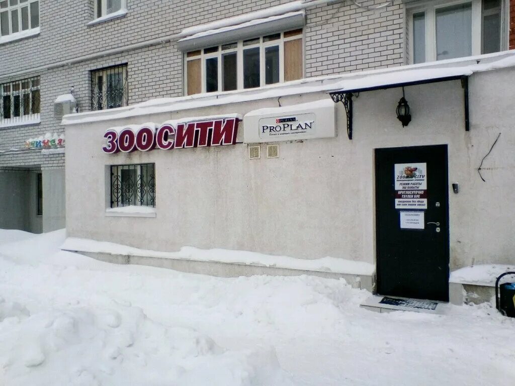 Ветеринары казань. Круглосуточная ветеринарная казань. Зоосити лайф казань. Круглосуточная ветеринарная казань. Круглосуточная ветеринарная казань.