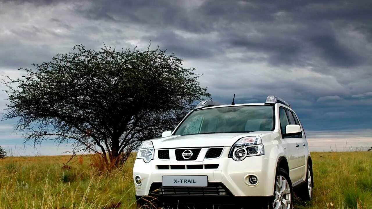 Nissan x-trail t31 2013. Nissan x-trail t31 2. Ниссан хтраил т31. Ниссан икстрейл т31. Nissan x-trail 2007-2014 г.