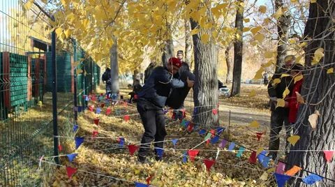 Сборы осень 2024