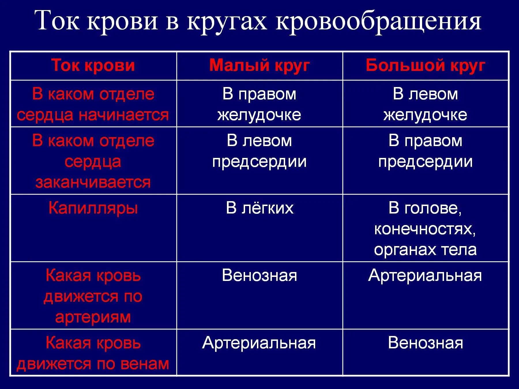 Какая кровь содержится в правой половине сердца