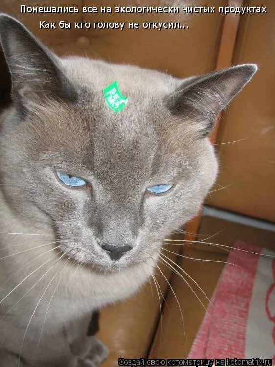 Картинки юмор девушка можно вас пригласить в кино. Девушка можно вас. Вы девчонки совсем помешались. Валюха сваты мем. Мем типичная мама.