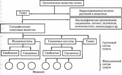 Гумус состав