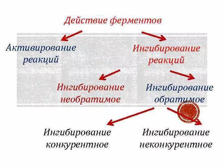 Реакции активации ферментов. Механизм необратимого ингибирования фермента. Ингибиторы биохимия. Ингибирование ферментов биохимия. Типы активации ферментов.