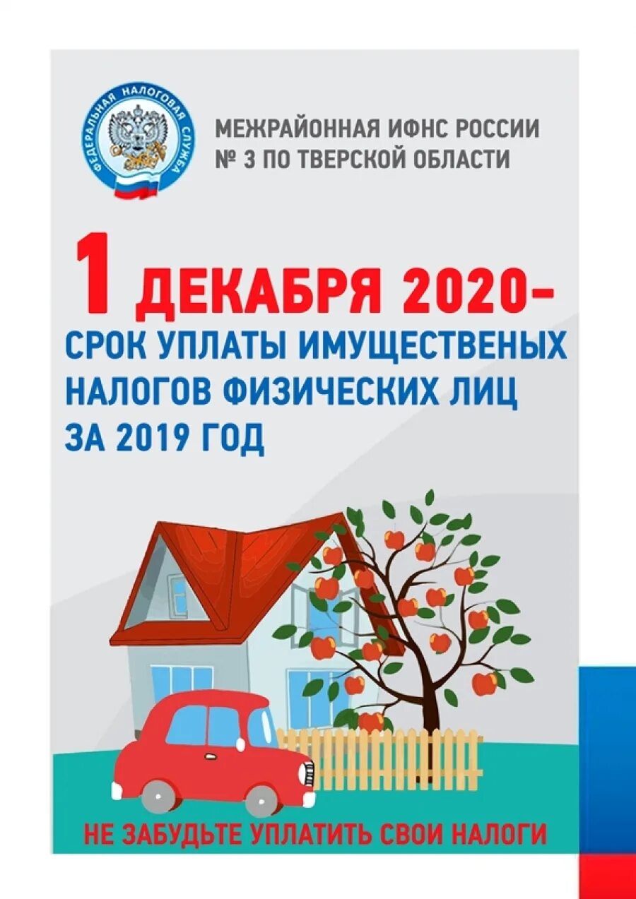 Срок уплаты налогов за работников. Срок уплаты имущественного налога. 1 Декабря срок уплаты имущественных налогов. Уплата имущественных налогов физических лиц. Листовки по имущественным налогам.