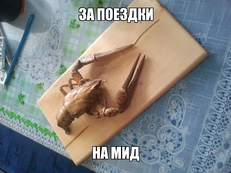 Дота 2 мем. Доби идет на мид. Выхожу на мид. Кружка я на мид. Мид мемы.