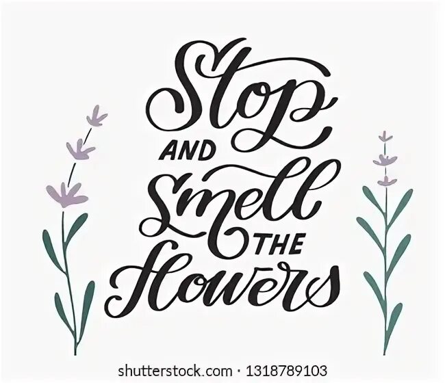 Why you smell this flower. The smell of flowers always brings.