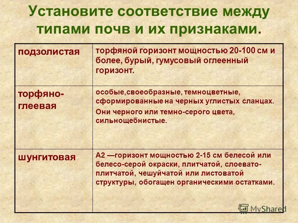 Этапы формирования почвы. Установите соответствие: почва растительность. Установите соответствия между типами почв. Дифференциация почвенного профиля. Установите соответствия между типами почв.