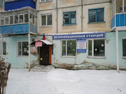 Сэс пушкарева